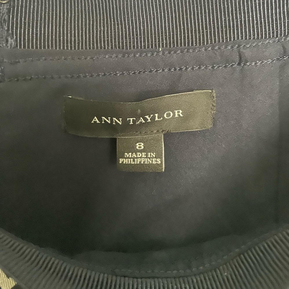 Ann Taylor skirt (size 8)
